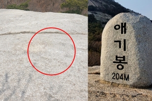 ‘수락산 등 정상석 연쇄 실종’  20대 용의자 잡았다