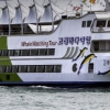 ‘울산 고래 탐사 뱃고동’… 고래바다여행선 4월2일 정기운항