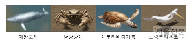 네이버 지식백과에 3D 정보가 추가된 국내 해양생물들 <해수부 제공>