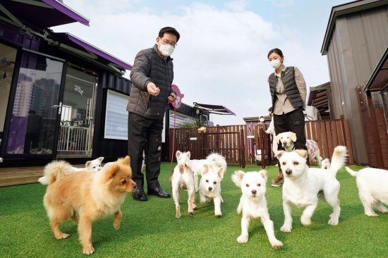 유덕열(왼쪽) 서울 동대문구청장이 유기견들에게 먹이를 나눠 주고 있다. 동대문구 제공