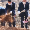 단양 곡계굴 한국전쟁 희생자 유해발굴한다