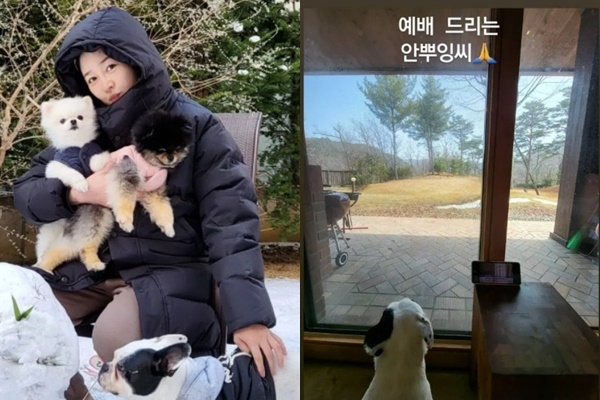 성유리 sns 캡처