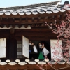 다시 문 열린 덕수궁 석어당… “살구꽃이 예뻐요”