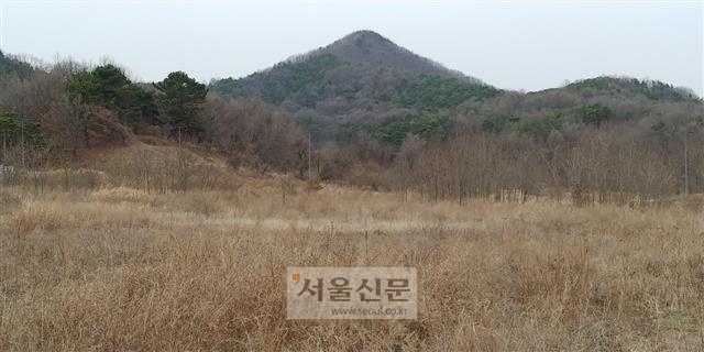 세종시 신도시 원수산 밑에 있는 독립 대통령 집무실 후보지.