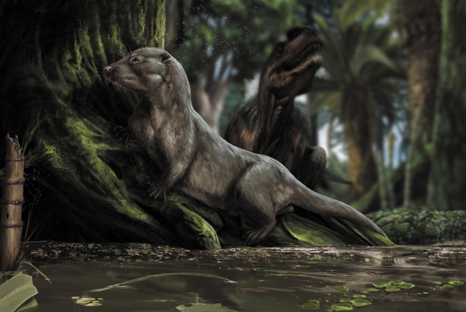 포스트 공룡시대 포유류 머리보다 몸집 키우기 나섰다