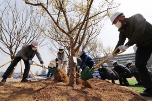 보도그후/‘3월 식목일’ 조정될까…산림기본법 개정 추진