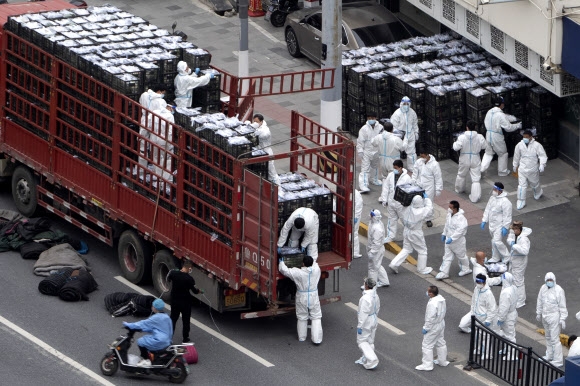 지난 5일 전면 봉쇄 중인 중국 상하이의 한 지역에서 방역 장비를 입은 노동자들이 주민들에게 나눠줄 식료품을 나눠주고자 트럭에서 짐을 내리고 있다. 상하이 AP 연합뉴스