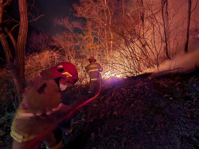 양구 야간 산불대응  10일 오후 강원도 양구군 양구읍 송청리에서 산불이 발생, 소방대원들이 진화작업을 벌이고 있다. 2022.4.11 강원도소방본부 제공