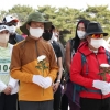 걸으며 말하며 배우는 순국선열 정신… 풍성한 강북 ‘4·19 국민문화제’ 10주년