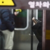 [속보] 1호선 시청역, 화재 오인에 지하철 지연…승객 100여명 대피