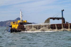 [단독] 굴업·덕적도 해역 바닷모래 채취 추진에… “생태계보전 지역 파괴”
