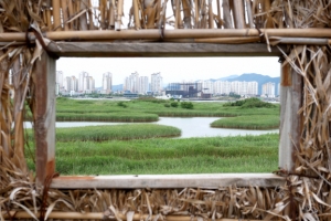 보이소! 익숙한 도시 뒤 ‘쥐라기 공원’…오이소! 해운대·광안리 곁 신화의 바다[이우석의 미시(微視) 여행]