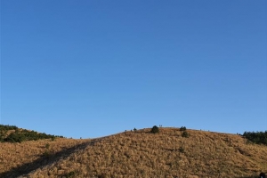 몸살 앓는 제주 오름… 결국 탐방총량제 도입하나