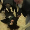 [STOP PUTIN] ‘르펜-푸틴 하트’ 시위 여성을 바닥에 질질 끌고 가다니