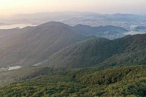 내일 가덕도 신공항 착공 대못 박는다