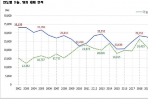 통계청 “마늘 재배면적 늘고 양파 재배면적 줄었다”