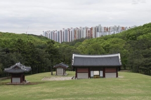 입주 못 막나… ‘왕릉뷰 아파트’ 완공 속도전