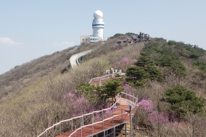 해발 1000m 비슬산, 휠체어로 오른다