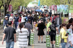 강원에 봄내음 향긋…산나물축제 돌아왔다