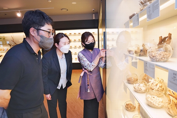 지난달 27일 서울 동대문구 서울한방진흥센터에 있는 한의약 박물관에서 도슨트(오른쪽)가 다양한 약재에 대해 설명하고 있다. 동대문구 제공