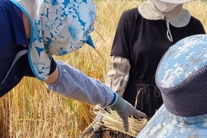 여성농업인 노동력 등 다양한 역할에도 ‘주변인’ 전락