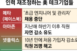 ‘美 긴축 빅펀치’ 맞은 빅테크… 아마존·메타까지 감원 칼바람