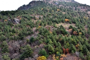 국립공원, 기후변화 연구·관측 첨병된다