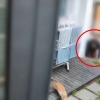 女속옷 사라져 설치한 CCTV에…‘문 밑으로 기어들어온 이웃 남성’ 찍혔다