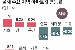 용산·재건축 뜨고 외곽·지방 지고… ‘尹 호재’ 속 집값 양극화