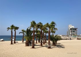 강원 강릉시내 곳곳이 도시숲과 힐링비치,일루미아정원 등으로 꾸며진다. 강릉시 제공.