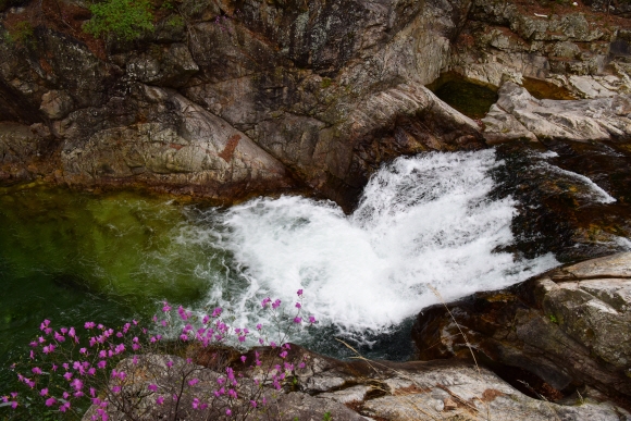강원 홍천 칡소폭포에선 산란을 위해 물을 거슬러 오르는 열목어를 볼 수 있다.