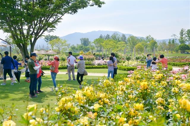 순천만국가정원을 찾은 관람객들 모습.