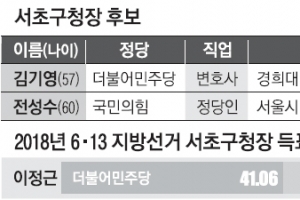 보수 철옹성… 20년 지역 지킨 법률가 vs 市·靑 거친 행정가 [6·1 지방선거 서울 구청장 판세 분석]