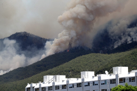 밀양 산불 현장…치솟는 연기