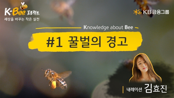 ‘꿀벌의 경고’ 소개 이미지. KB금융 제공
