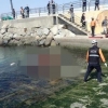 ‘남매 탄 차량’ 바다 추락, 경찰은 ‘오빠 동거녀’ 구속했다
