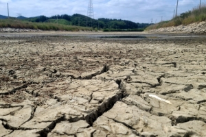 “재난이 된 폭염”… 야외근로자·노인 특화 여름 나기 준비 이상무[2022 세이프 코리아 리포트]