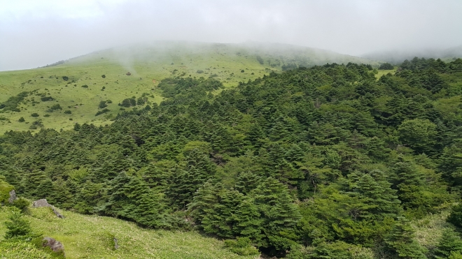 제주특별자치도 세계유산본부 제공