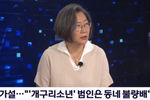 개구리소년, 버니어캘리퍼스에 살해? 이수정 “설득력 있어… 재수사 필요”