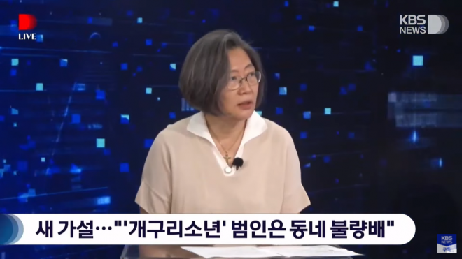 KBS 뉴스에 출연한 이수정 경기대 범죄심리학과 교수. KBS 뉴스 유튜브 캡처