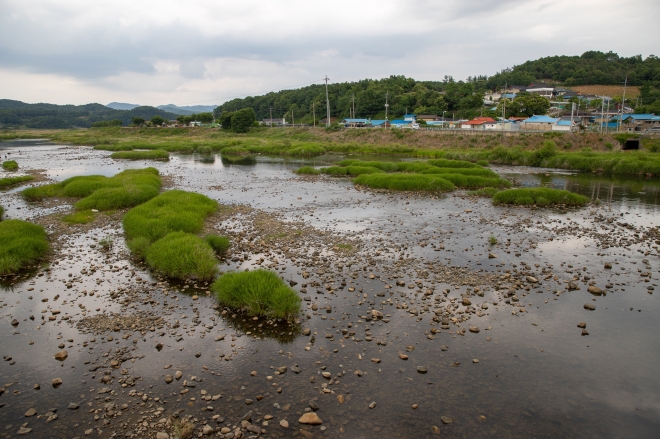 괴산군이 투망으로 물고기 잡는 것을 허용한 괴산읍 이탄교 유원지 일대. 괴산군 제공