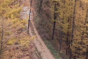 산불에 ‘산림도로’ 재부상…산림 훼손이 ‘변수’