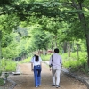 산림명문가 2대에 걸쳐 가꿔 온 숲 ‘윤제림’ 무료개방 ‘눈길’