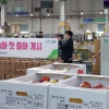 농협광주공판장, 경산 압량농협 복숭아 첫 출하 경매
