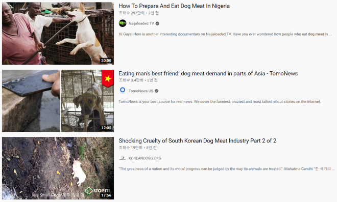 한국뿐 아니라 나이지리아, 베트남 등 세계 각국에서 개가 식용 목적으로 도살되고 있음을 보여주는 유튜브 검색 결과. 유튜브 캡처