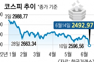 코스피 결국 2500선 무너졌다