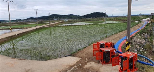 전남 해남군 화산면 농경지