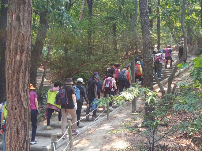 강북구민들이 힐링걷기 프로그램에 참여하고 있다. 강북구 제공