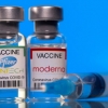 [속보] 미 FDA, 오미크론 겨냥 화이자·모더나 새 백신 승인