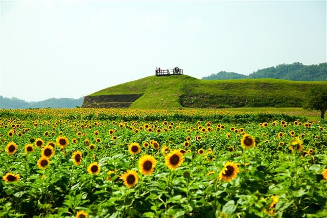 남한에서 쉽게 볼 수 없는 고구려 성곽인 연천 호로고루. 연천군 제공